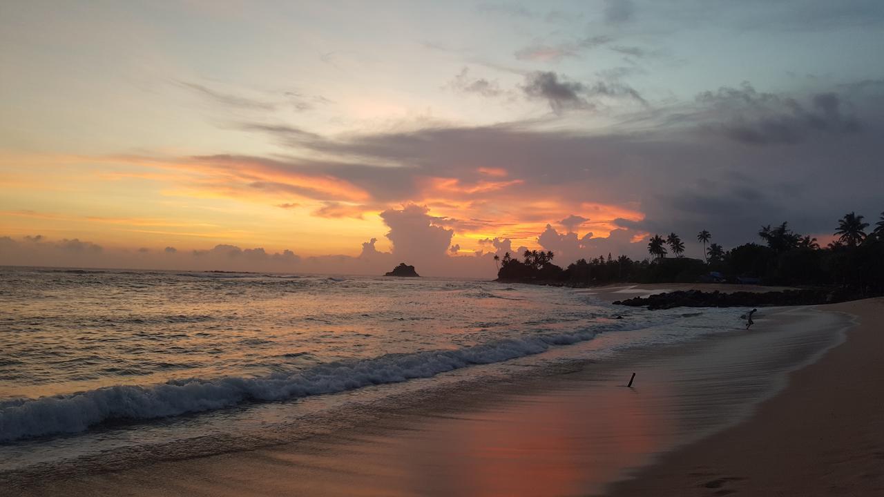 Hostel Surfing Wombats Weligama Zewnętrze zdjęcie