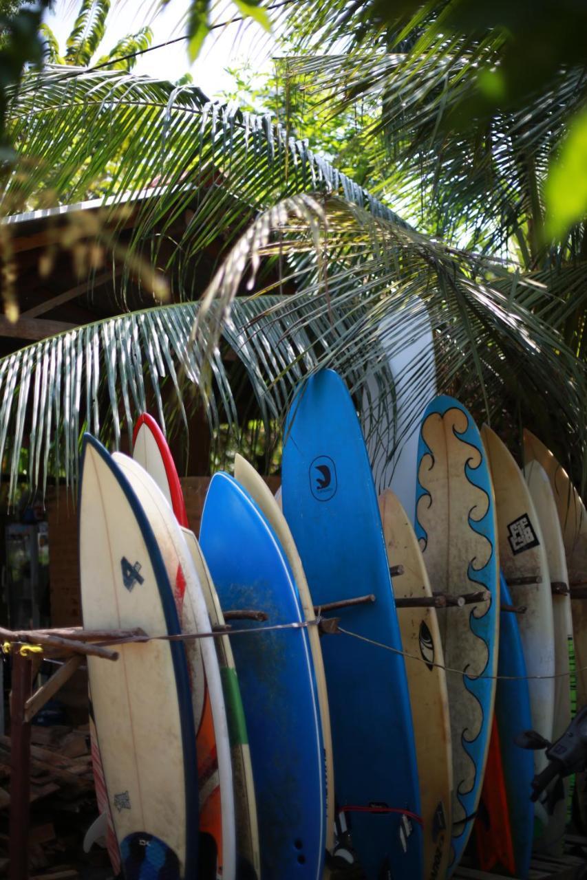 Hostel Surfing Wombats Weligama Zewnętrze zdjęcie